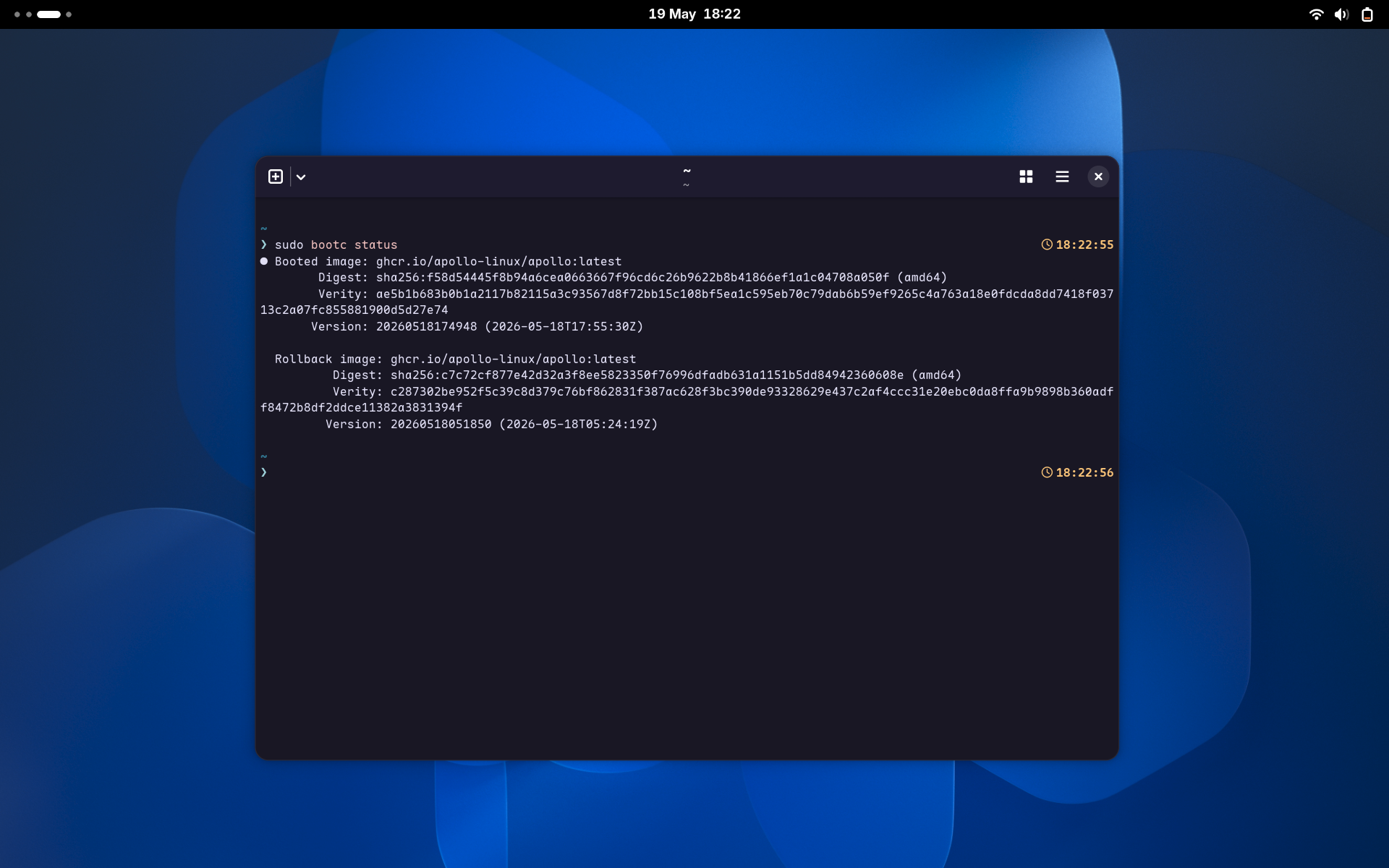 An Apollo desktop with the terminal open